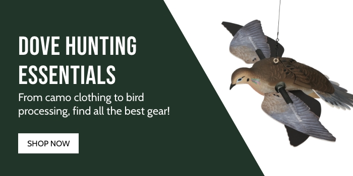 Dove Hunting Essentials